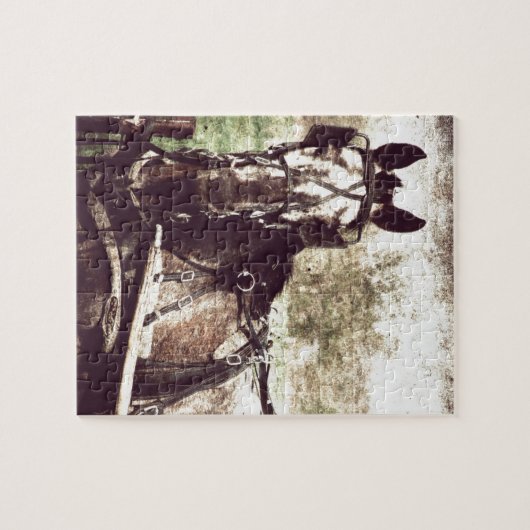 Appaloosa-Pferd Puzzle (Horizontal)