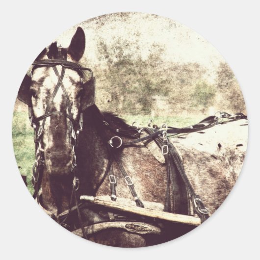 Appaloosa Pferd Runder Aufkleber (Vorderseite)