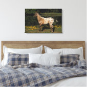 Appaloosa Pferd Stehend am See Leinwanddruck (Insitu (Schlafzimmer))