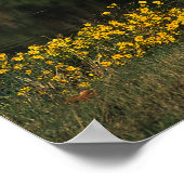 Appaloosa Pferd Stehend am See Poster (Ecke)