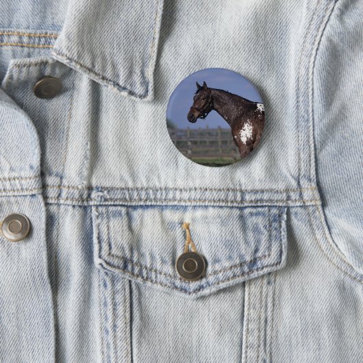 Appaloosa-Pferd stehend Button (Beispiel)