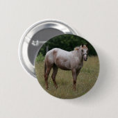 Appaloosa-Pferd stehend im Gras Button (Vorne & Hinten)