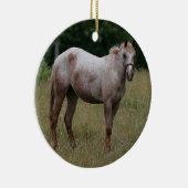 Appaloosa-Pferd stehend im Gras Keramikornament (Rechts)