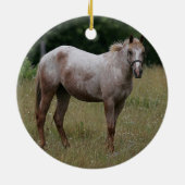 Appaloosa-Pferd stehend im Gras Keramikornament (Hinten)