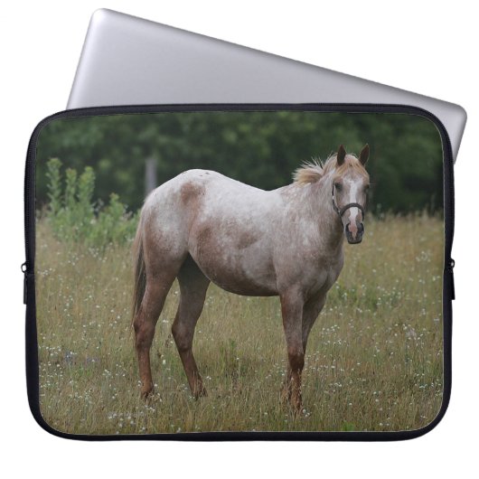 Appaloosa-Pferd stehend im Gras Laptopschutzhülle (Vorderseite)