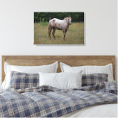 Appaloosa Pferd Stehend im Gras Leinwanddruck (Insitu (Schlafzimmer))