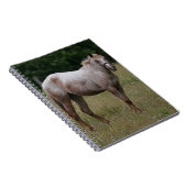 Appaloosa-Pferd stehend im Gras Notizblock (Rechte Seite)
