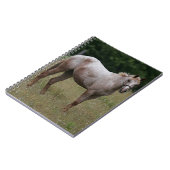 Appaloosa-Pferd stehend im Gras Notizblock (Linke Seite)