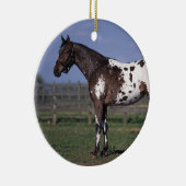 Appaloosa-Pferd stehend Keramikornament (Rechts)
