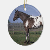 Appaloosa-Pferd stehend Keramikornament (Links)