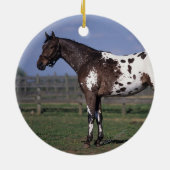 Appaloosa-Pferd stehend Keramikornament (Hinten)