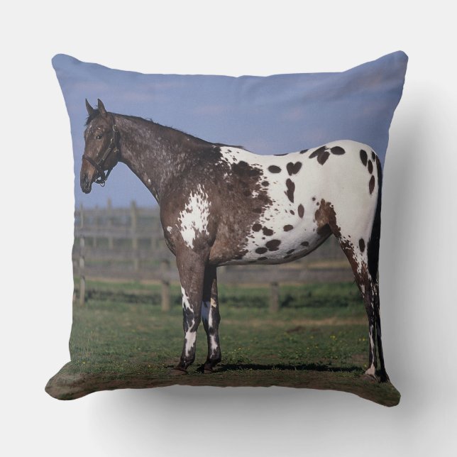 Appaloosa-Pferd stehend Kissen (Vorderseite)