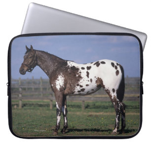 Appaloosa-Pferd stehend Laptopschutzhülle