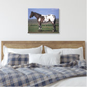 Appaloosa Pferd Stehend Leinwanddruck (Insitu (Schlafzimmer))