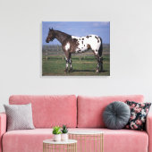 Appaloosa Pferd Stehend Leinwanddruck (Insitu (Wohnzimmer))