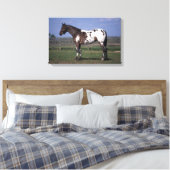 Appaloosa Pferd Stehend Leinwanddruck (Insitu (Schlafzimmer))