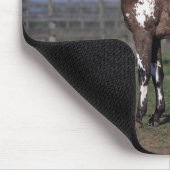 Appaloosa-Pferd stehend Mousepad (Ecke)