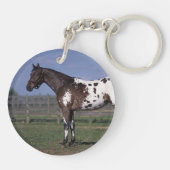 Appaloosa-Pferd stehend Schlüsselanhänger (Rückseite)