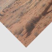 Appaloosa Pferde bemalt Wüste Landschaftliche Deco Seidenpapier (Detail)