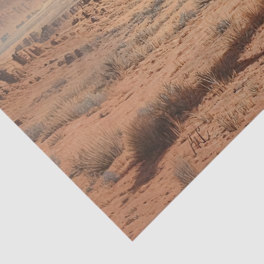 Appaloosa Pferde bemalt Wüste Landschaftliche Deco Seidenpapier (Detail)