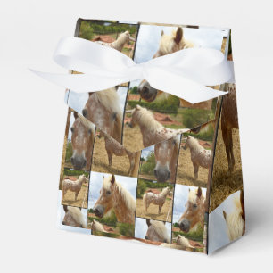 Appaloosa Pferde FotoCollage, Geschenk Geschenkschachtel