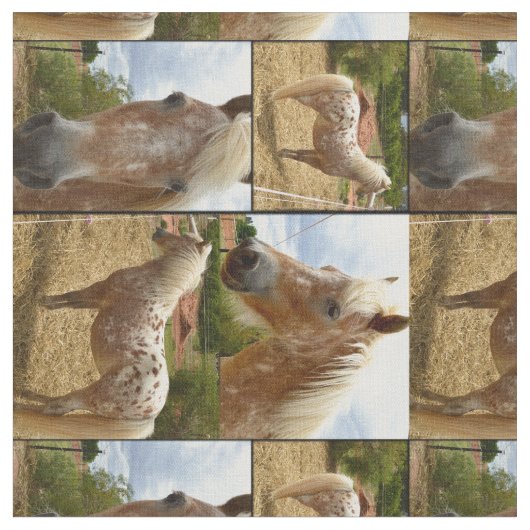 Appaloosa Pferde FotoCollage, Stoff (Nahaufnahme)