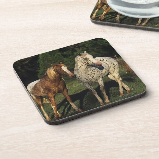 Appaloosa-Pferde Getränkeuntersetzer (Linke Seite)