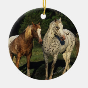 Appaloosa-Pferde Keramikornament