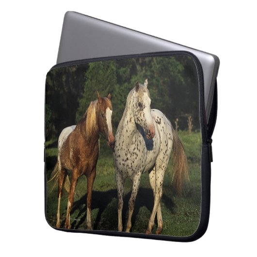 Appaloosa-Pferde Laptopschutzhülle (Vorderseite Links)