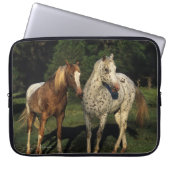 Appaloosa-Pferde Laptopschutzhülle (Vorderseite)