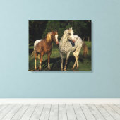 Appaloosa Pferde Leinwanddruck (Insitu (Holzboden))
