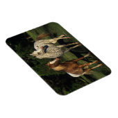 Appaloosa Pferde Magnet (Rechte Seite)