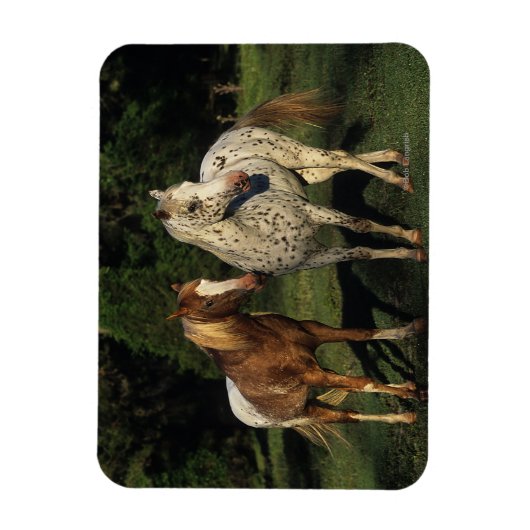 Appaloosa Pferde Magnet (Vertikal)