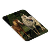 Appaloosa Pferde Magnet (Rechte Seite)
