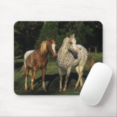 Appaloosa-Pferde Mousepad (Mit Mouse)