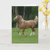 Appaloosa-Pferdebetrieb Karte (Gelbe Blume)