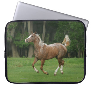 Appaloosa-Pferdebetrieb Laptopschutzhülle