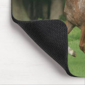 Appaloosa-Pferdebetrieb Mousepad (Ecke)