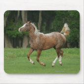 Appaloosa-Pferdebetrieb Mousepad (Vorne)