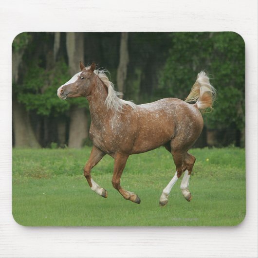 Appaloosa-Pferdebetrieb Mousepad (Vorne)