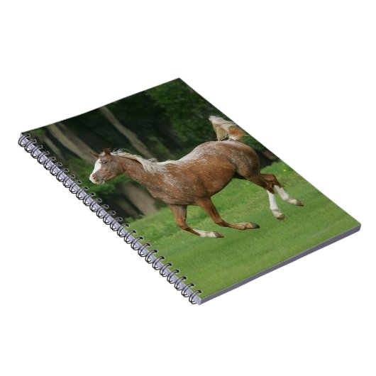 Appaloosa-Pferdebetrieb Notizblock (Rechte Seite)