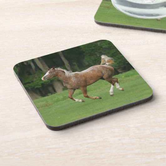 Appaloosa-Pferdebetrieb Untersetzer (Linke Seite)