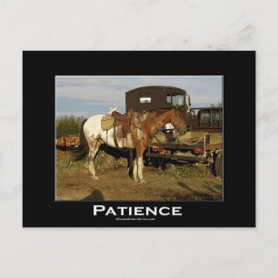 Appaloosa PferdeEquine Motivierend Art Card Postkarte