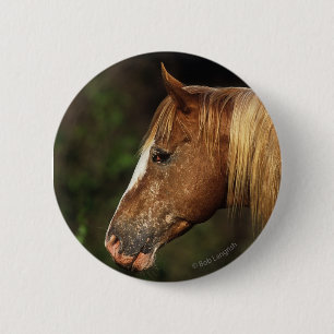 Appaloosa-PferdeHeadshot 1 Button