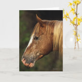 Appaloosa-PferdeHeadshot 1 Karte (Gelbe Blume)