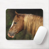 Appaloosa-PferdeHeadshot 1 Mousepad (Mit Mouse)
