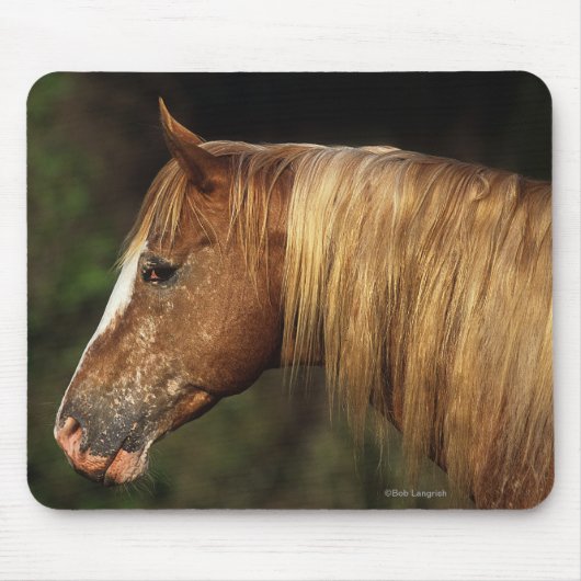 Appaloosa-PferdeHeadshot 1 Mousepad (Vorne)