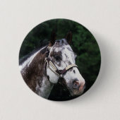 Appaloosa-PferdeHeadshot 2 Button (Vorderseite)