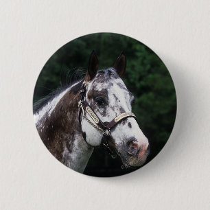 Appaloosa-PferdeHeadshot 2 Button