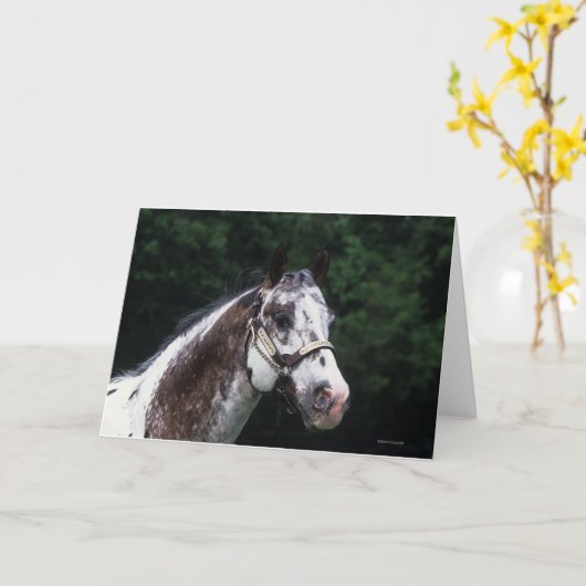 Appaloosa-PferdeHeadshot 2 Karte (Gelbe Blume)